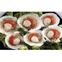 宏鸿农产品集团 家禽代理招商加盟，共创绿色农业新未来