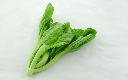 聚焦芥菜下高速被收费事件 对最基本的常识我们不应存在误解