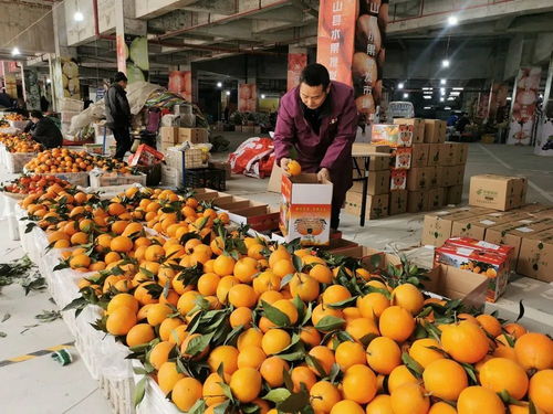 宽敞整洁，巫山水果交易市场转型启航 初级农产品交易全面实现优化搬迁