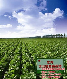 广州宏鸿产业基地 优质农副产品配送服务与高清产品展示