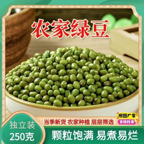 绿豆新货上市 东北农家初鲜，一豆多吃的夏日百变宝典